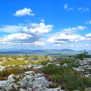 Meet your Posher, Eileen